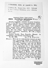 Image Associated With the Occurence